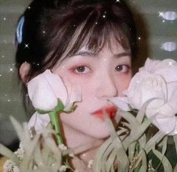 准妈妈四重奏