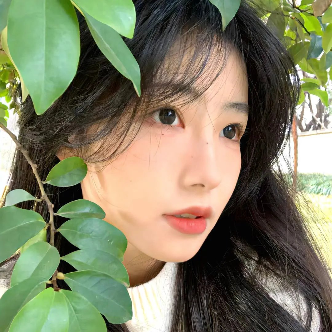 寻铃